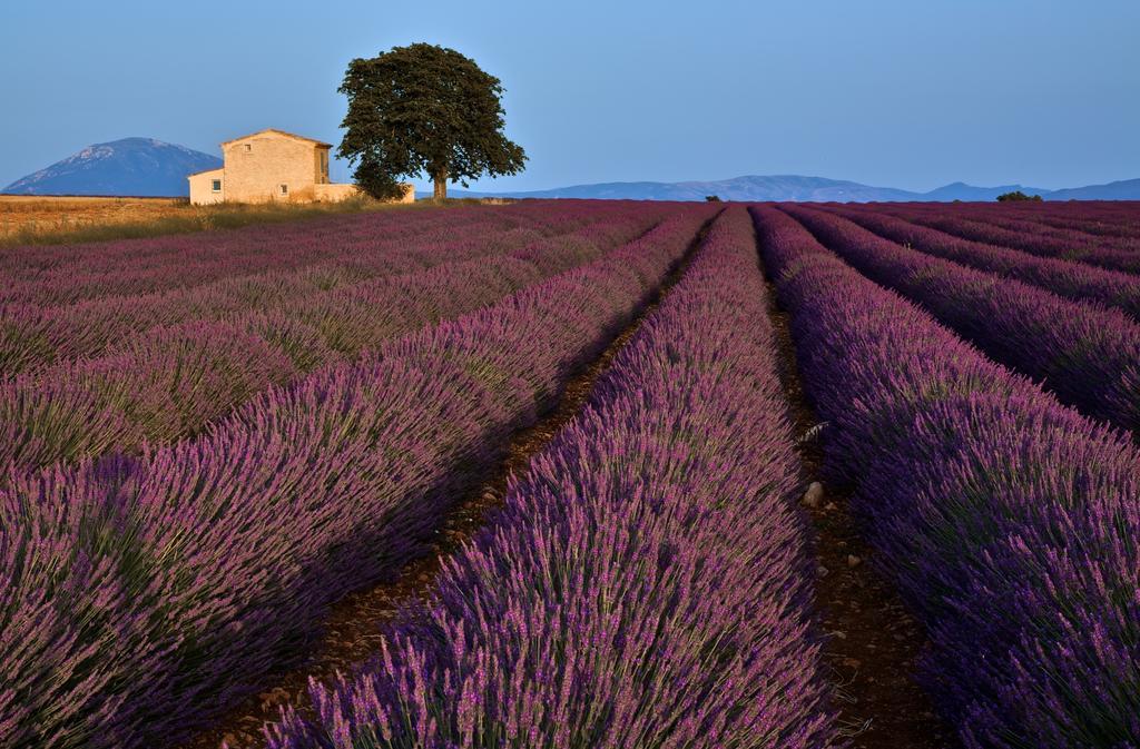 Hôtel La Maison Des Collines à Allemagne-en-Provence Extérieur photo